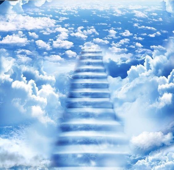 تفسير حلم رؤية الجنة في المنام